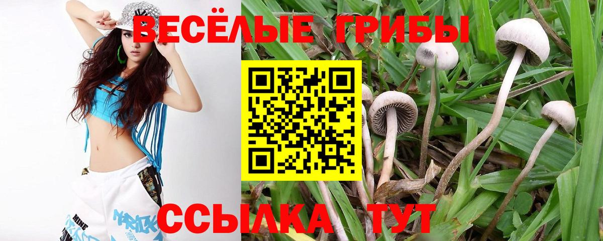 Мелеуз  Псилоцибиновые грибы Cubensis  Вход с VPN 