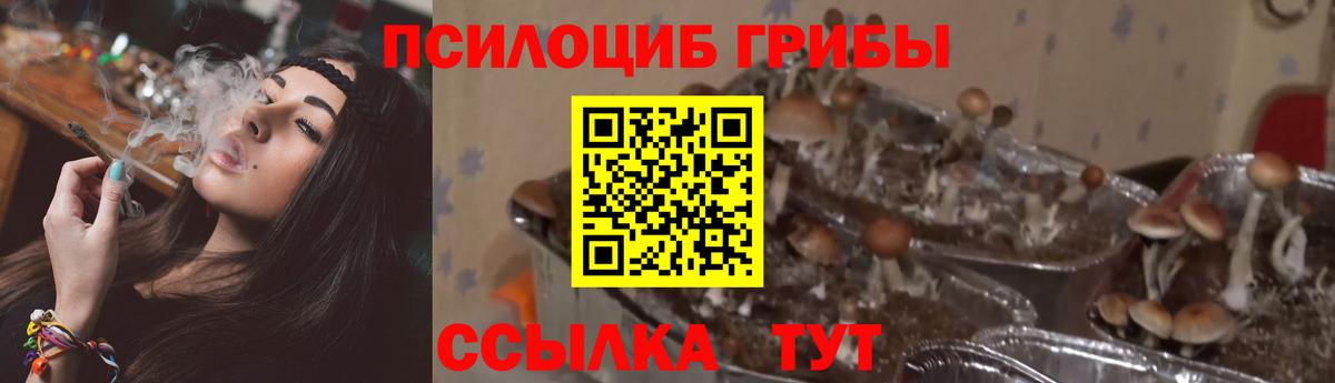 COCAIN  Вход с VPN  Лсд 25  ЭКСТАЗИ  Мелеуз  Меф МЯУ МЯУ   Гашиш  МЕТАМФЕТАМИН  Метадон  Марихуана 